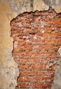 Grunge Old weathered Brick Wall Backdrop Background for Photography SBH0152