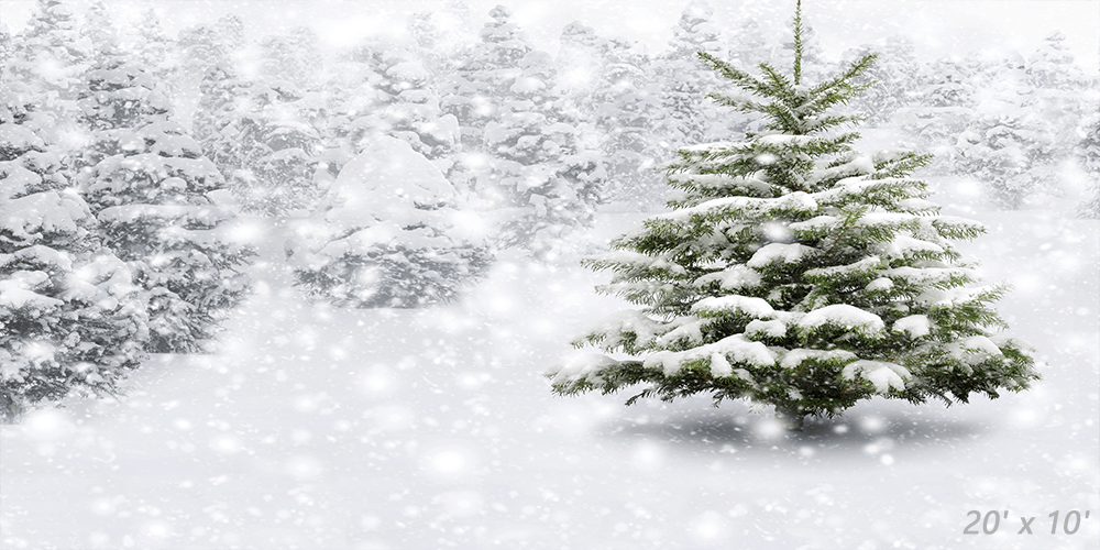 Winter Forest With Snowy Fir Trees  Backdrops for Photography SBH0303