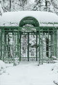 Cold Snowy Winter Weather Backdrop  for Photography SBH0296