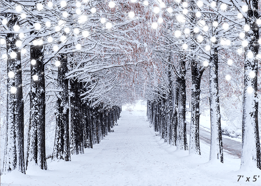 Winter Snow Forest Backdrop Background Studio Props SBH0304