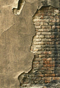 Obsolete Weathered Old Wall Urban Decay Backdrop for Photography SBH0165