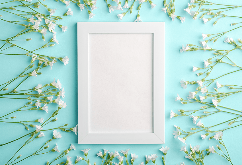 Spring Light Blue Background White Flower Decoration Photography Backdrop SBH0021