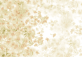 Impressionistic Oil Floral Painting Abstract Backdrop for Photography SBH0051
