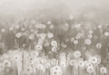 Grey Watercolor Digital Abstract Patterns Background for Photo Video Studio SBH0053