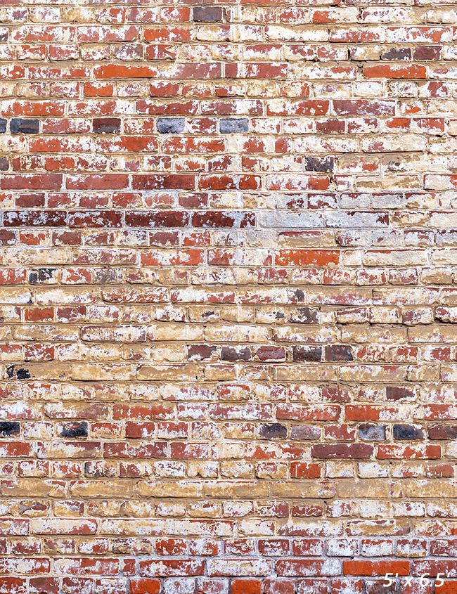 Old Red Brick Wall Backdrop for Grunge Photography SBH0327