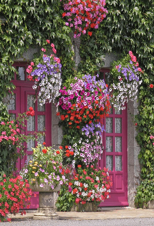 House With Flowers Backdrop for Spring Photography SBH0360