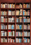 Bookshelf Filled With Books Photography Backdrop SBH0389