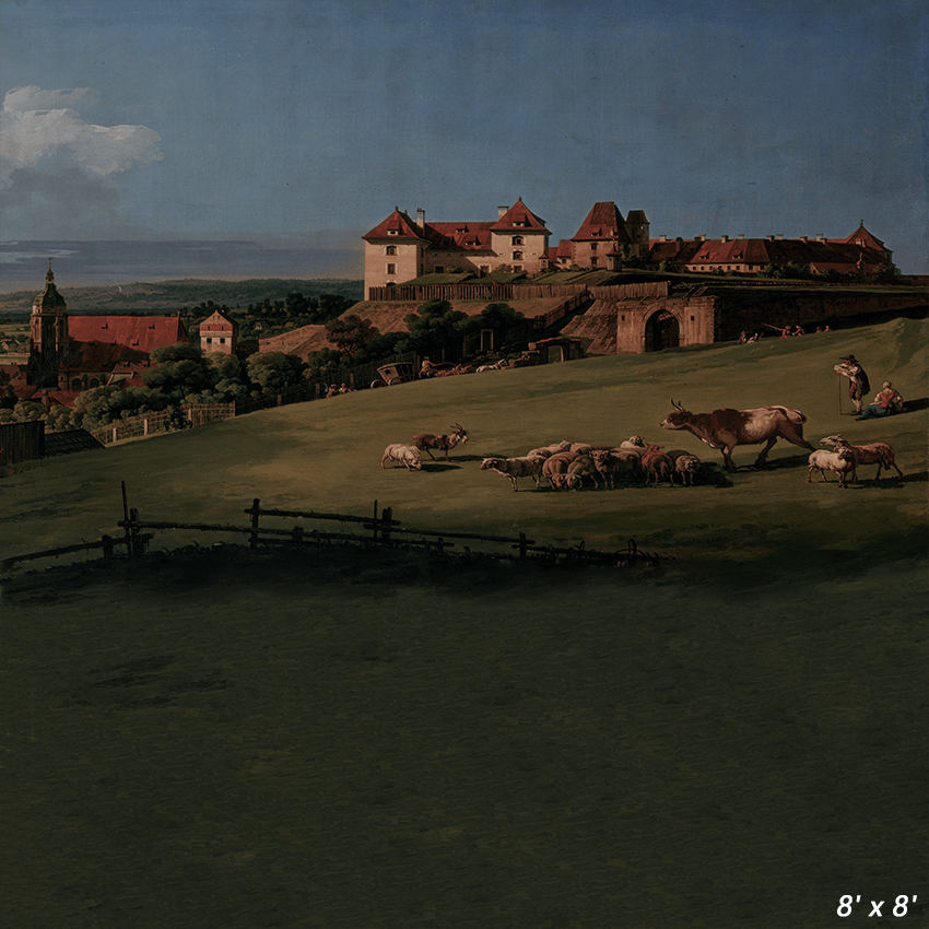 Sonnenstein Castle View Oil Painting Backdrop for Photo SBH0407