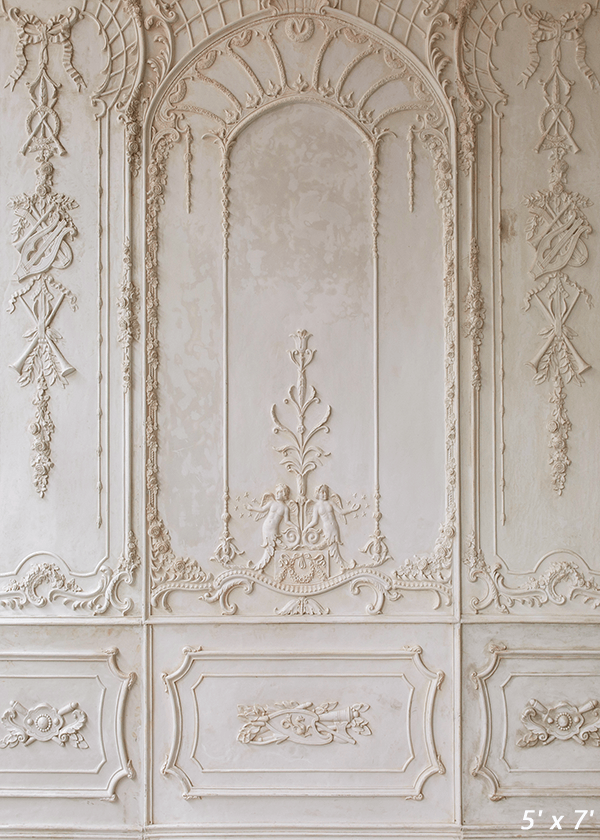 White Ornate Plaster Wall Backdrop for Photography SBH0411