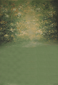 Spring Scenic Oil Painting Backdrop for Photo SBH0480