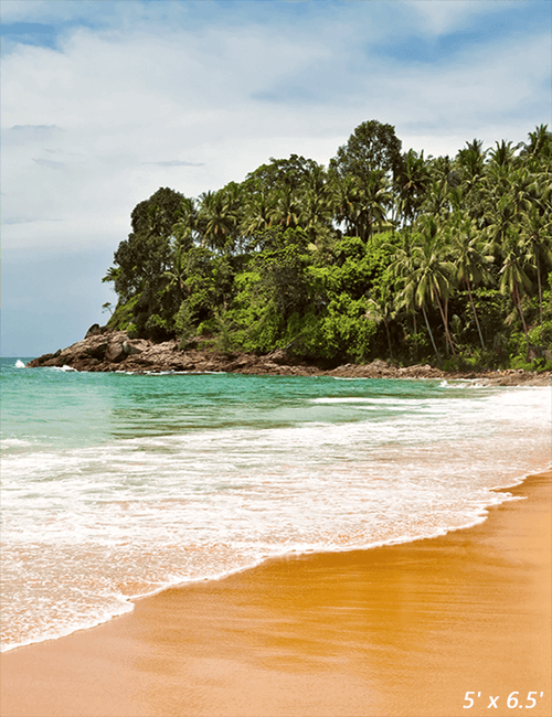 Beautiful Tropical Beach Summer Photo Background SBH0484