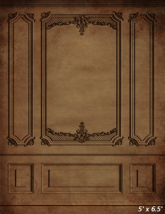 Vintage Brown Interior Wall  Backdrop for Photo SBH0492