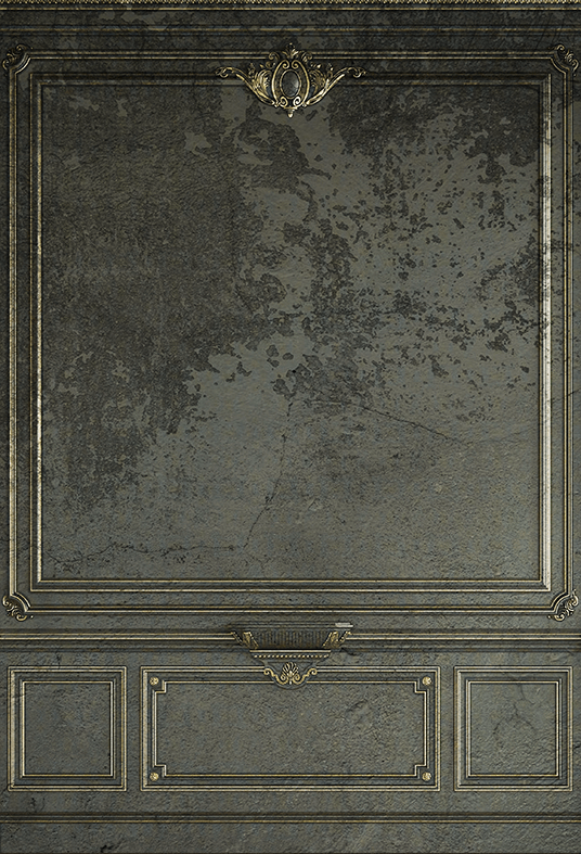 Vintage Classic Interior Wall Seamless Backdrop SBH0495