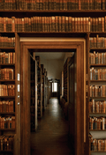Library Reading Room Shelves Backdrop Background SBH0521