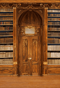 Majestic Libraries Bookshelf Backdrop for Photo SBH0526