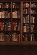 The Morgan Library Background Fabric Backdrop SBH0528