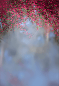 Exotic Blur Garden Floral Background Backdrop SBH0599