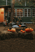 Thanksgiving Fall Pumpkin Maple Leaf Backdrop for Photo SBH0627