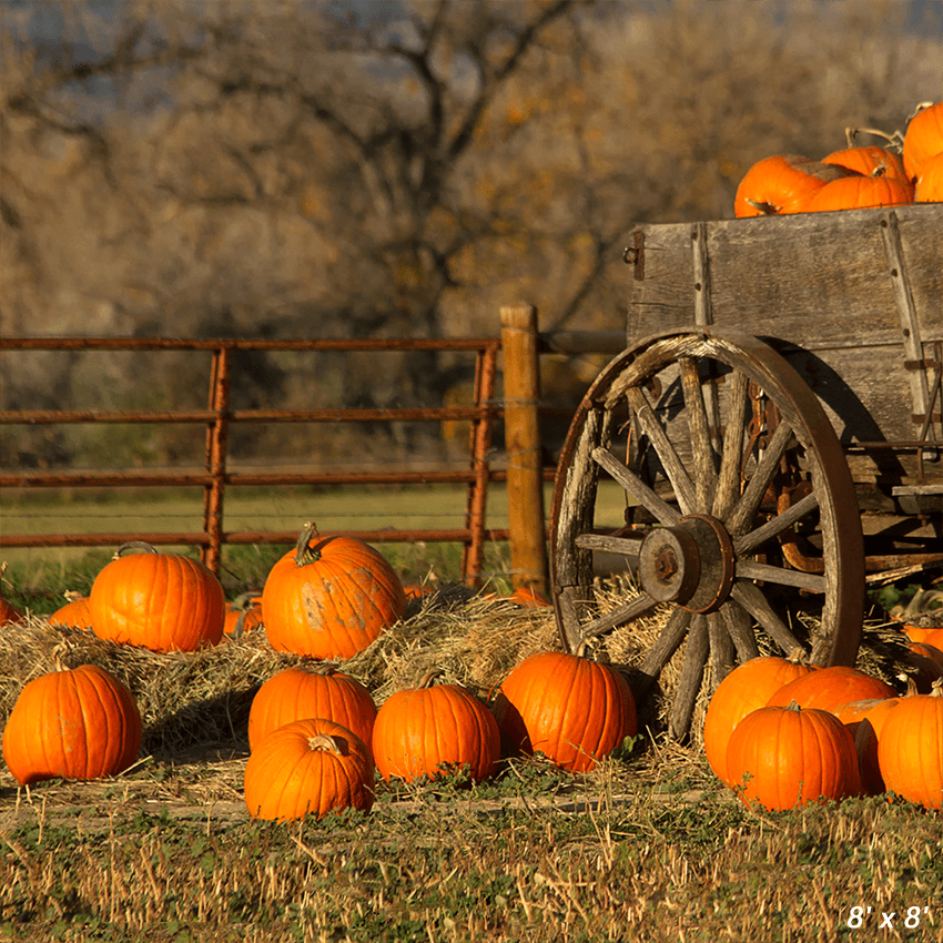 Wagon With Pumpkins Harvest Fall Backdrop for Photo SBH0632