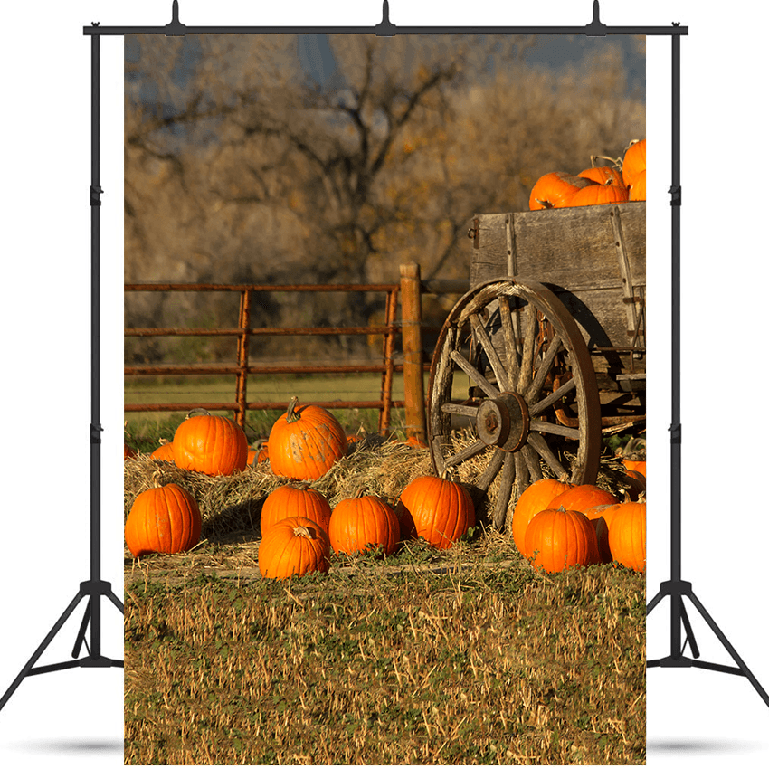 Wagon With Pumpkins Harvest Fall Backdrop for Photo SBH0632