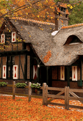 Big Wood House In Forest Fall Photography Backdrop SBH0633